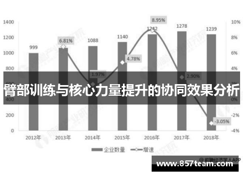 臂部训练与核心力量提升的协同效果分析